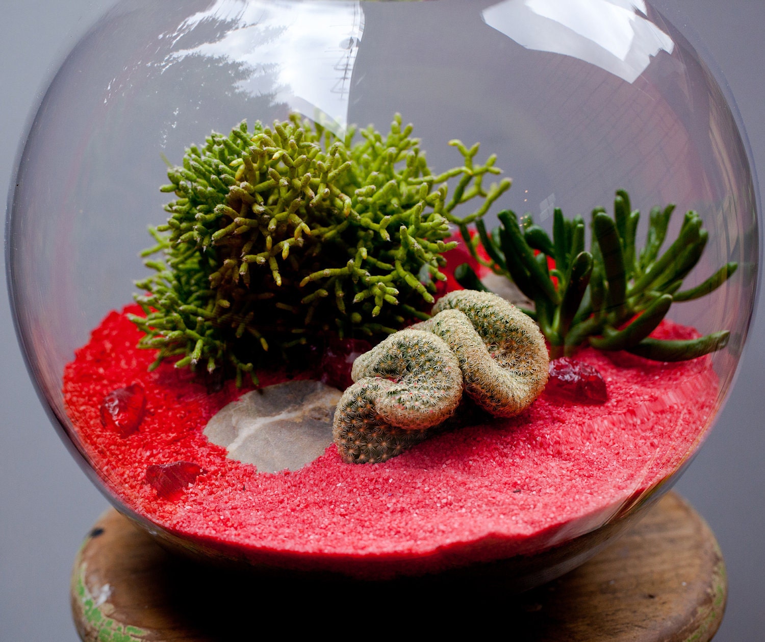 Items similar to Terrarium, fish bowl with succulents, cacti & red sand