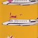 Sky Accident