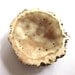 Geode Druzy Half For Wire Wrapping and Jewelry Making Earth Tones (Lot No. 379)