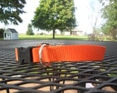 Orange Nylon Dog Collar (size medium)