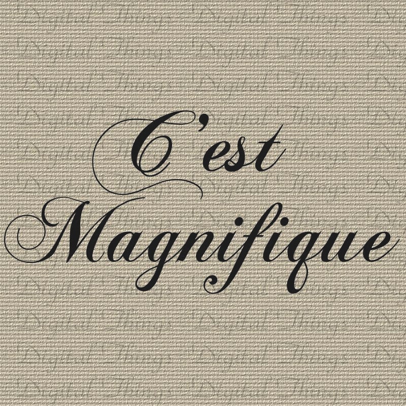 French Script C'est Magnifique Wall Decor Art Printable Digital Download for Iron on Transfer Fabric Pillows Tea Towels DT787