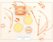 Lip Balm and Lotion Bars, Gift Set - Creamsicle Dreamsicle - Sweet Orange and Vanilla - All Natural
