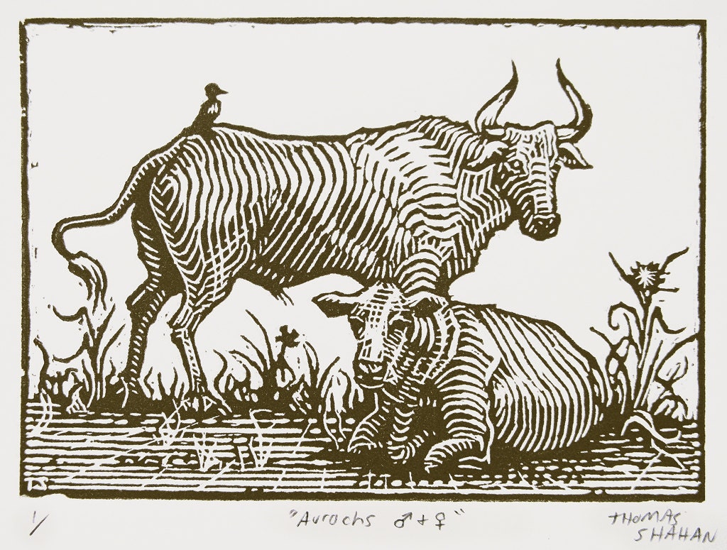 Aurochs - Woodcut on Paper - Thomas Shahan