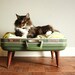 Cozy Cargo Suitcase Pet Bed - Green and Brown  - Upcycled Luggage - Free Shipping