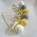 Cake Pops: Baby Shower Cake Pops Made to Order with High Quality Ingredients