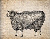 Digital Collage Sheet Download Sheet Fabric Transfer SHEEP LAMB FARM for Tea Towels, Papercrafts, Transfer, Pillows, etc Burlap No 7087