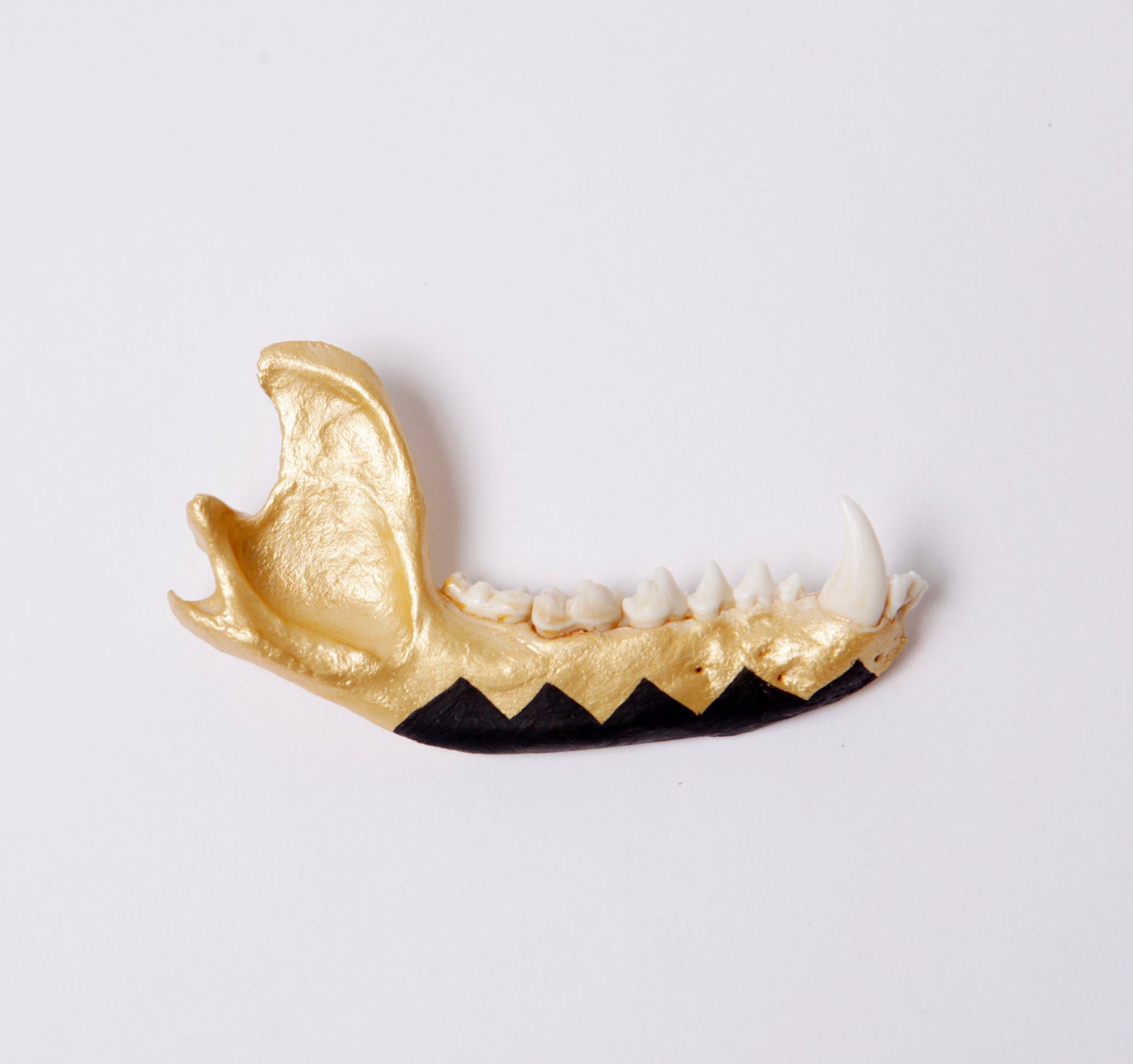 gold and black chevron, hand painted coyote jaw bone. unique totem