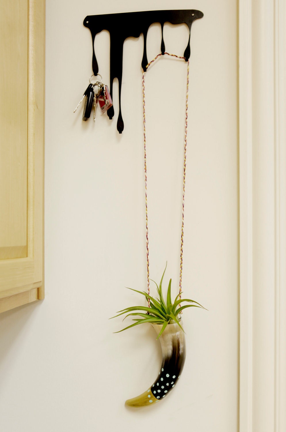 Buffalo horn air plant holder/ succulent planter. detailed with teal polka dots and a gold tip.