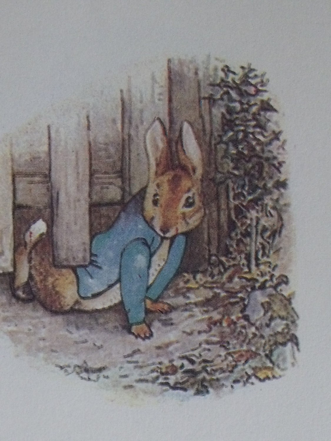 The Great Big Treasury of Beatrix Potter - 19 Stories with Her Original Illustrations