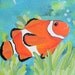 Clown Fish-Nemo