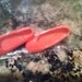 Now Skipper's Red Shoes Have Appeared