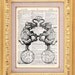 Vintage Dictionary Print Vintage Book Print Page Art Upcycled Vintage Book Art