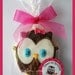 Look Whoo's Turning One 1st Birthday Party Owl Cookies