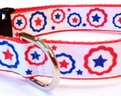 1 inch wide adjustable side release dog collar - patriotic red, white, blue fireworks - red webbing - size medium