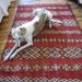 Moroccan Zemmour Carpet