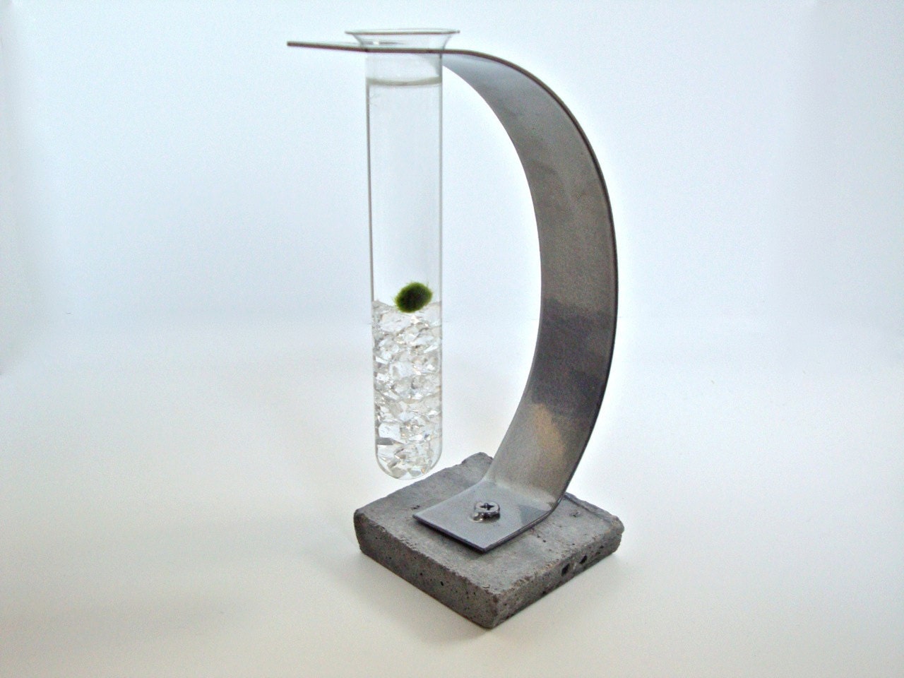 Marimo Moss Ball Test Tube Aquarium - Science Geek Modern Decor / Industrial Decor