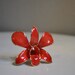Real Preserved Dendrobium Orchid Blossom Pin and Pendant edged and backed in Gold
