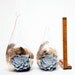 Set of 2: Teardrop shaped terrarium - natural history & easy care.