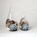 Set of 2: Teardrop shaped terrarium - natural history & easy care.