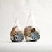 Set of 2: Teardrop shaped terrarium - natural history & easy care.