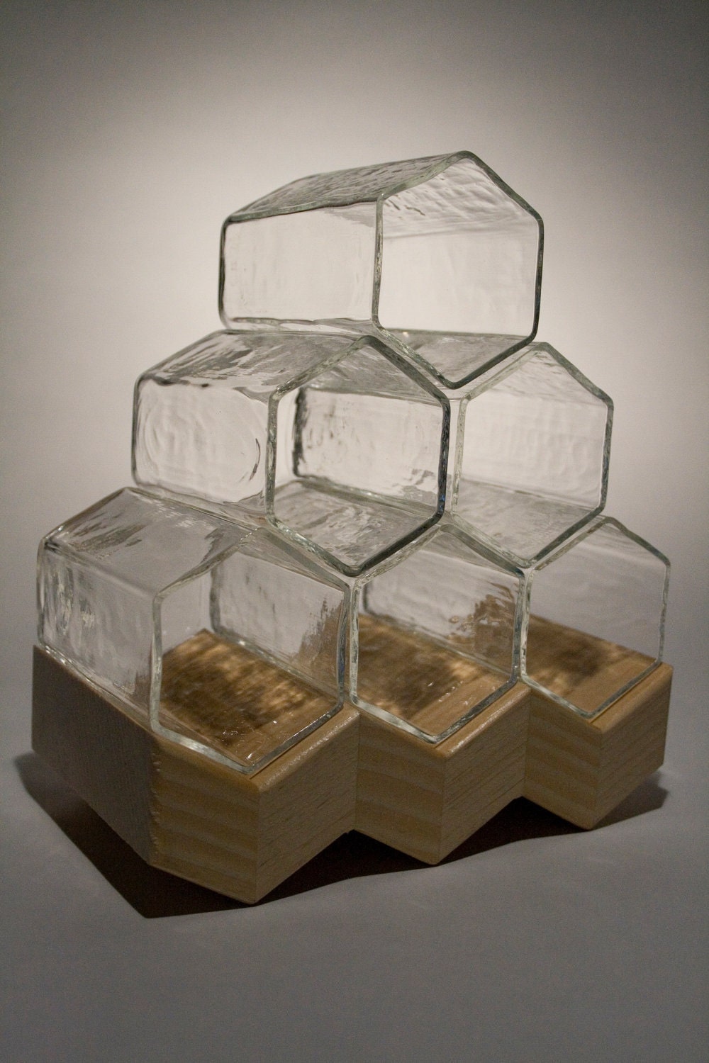 Hive Tumblers
