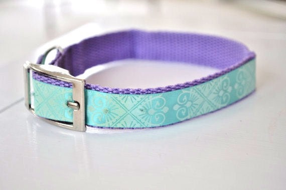 Dog Collar Tuquoise and Purple Printed