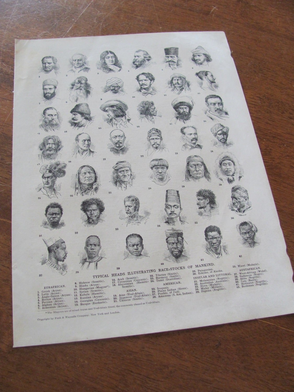 Vintage Ethnicity Chart - Unique Mid Century Race of Mankind Print