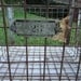Antique Wire Industrial Machine Age Wire Baskets Vintage Gym Baskets Washburn Choice of 3