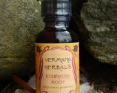 Echinacea Root (Echinacea purpurea)