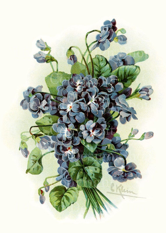 KLEIN BLUE PURPLE Vintage Flowers Digital Image for Cardmaking Scrapbooking Altered Art Mixed Media