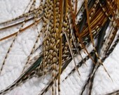 Natural Feather Extensions, Cree Hair Feathers, Qty3