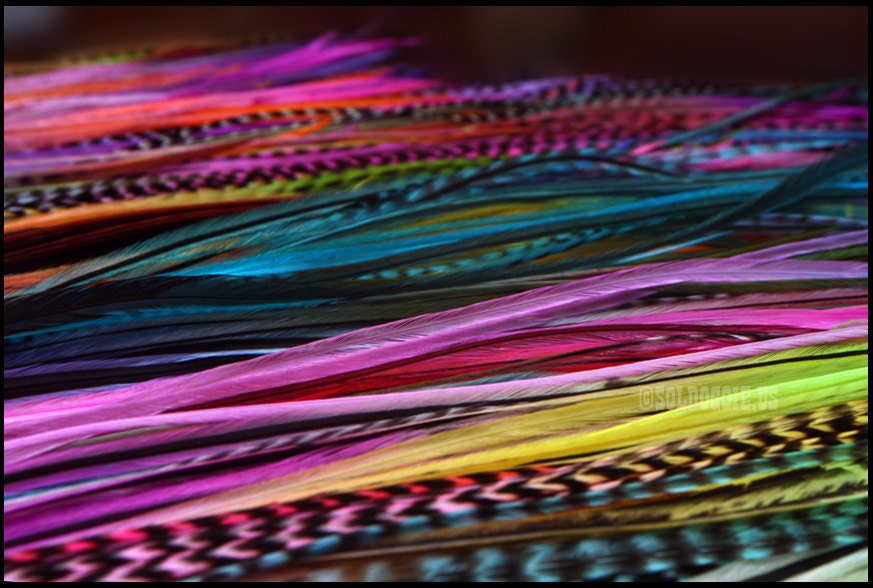 Long Hair Feathers for Feather Hair Extensions Affordable Long Feathers