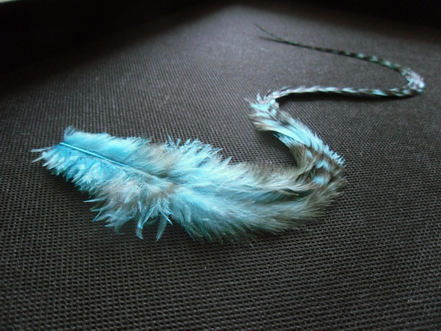 X Long Hair Feather Extension, Thick Turquoise Cree Feather, 15 inches