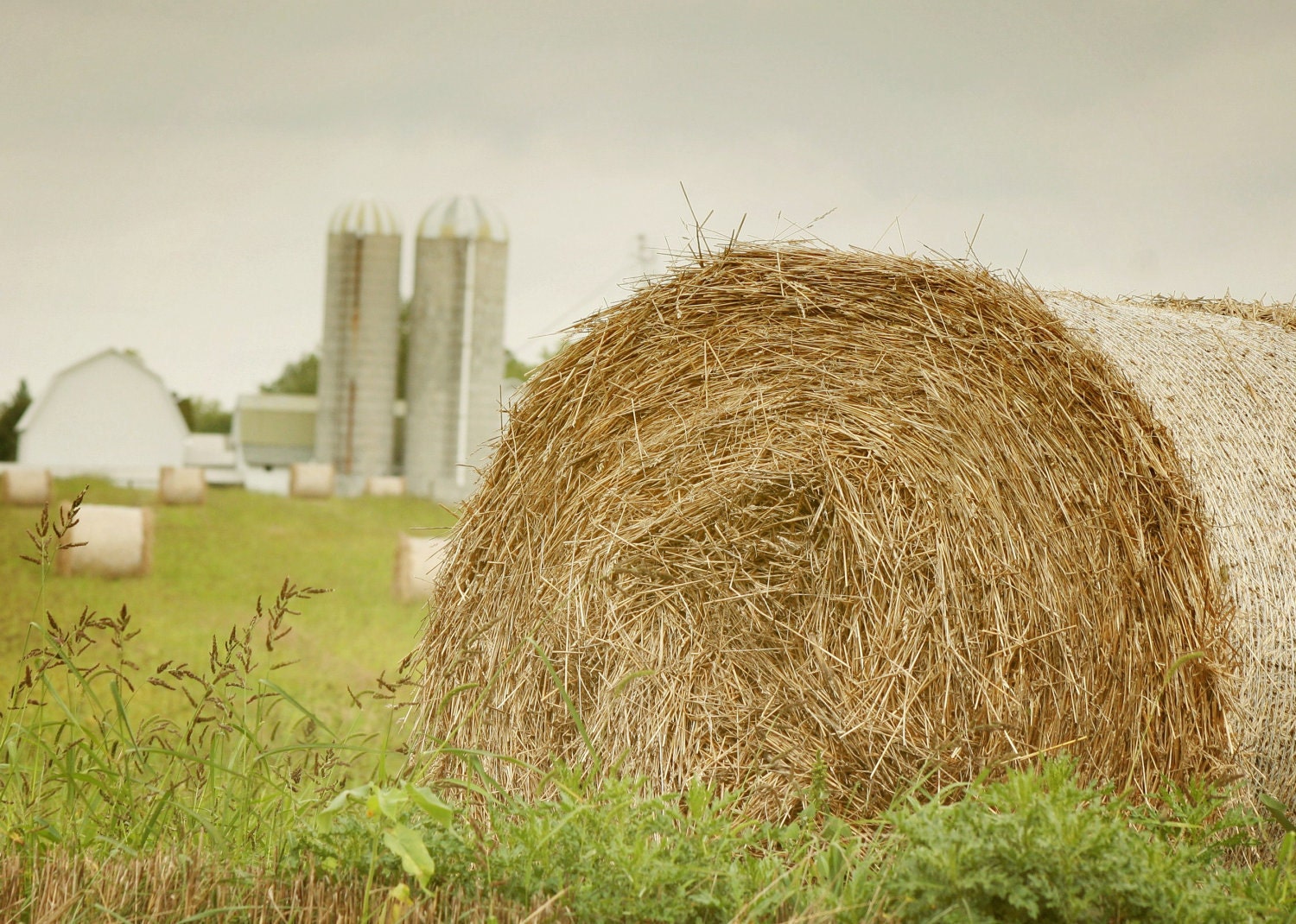 Hay Bale 5x7 Fine Art Photography Country Shabby Chic Rustic Farm Autumn Home Decor Wall Art Gift for Him Father's Day