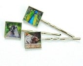 bobby pins tiger, peacock, lemur hair clip set of 3 Animal photo silver hair, photos nature animal hair gift under 10 15 20