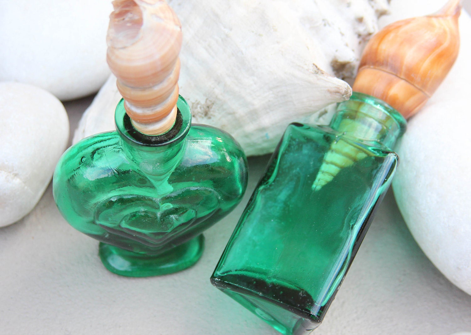 Beach Decor Set of two Emerald Glass Bottles Topped with Swordfish Seashells by SEASTYLE - SEASTYLE