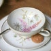 Fabulous Cup and Dessert plate from Bavaria, Germany
