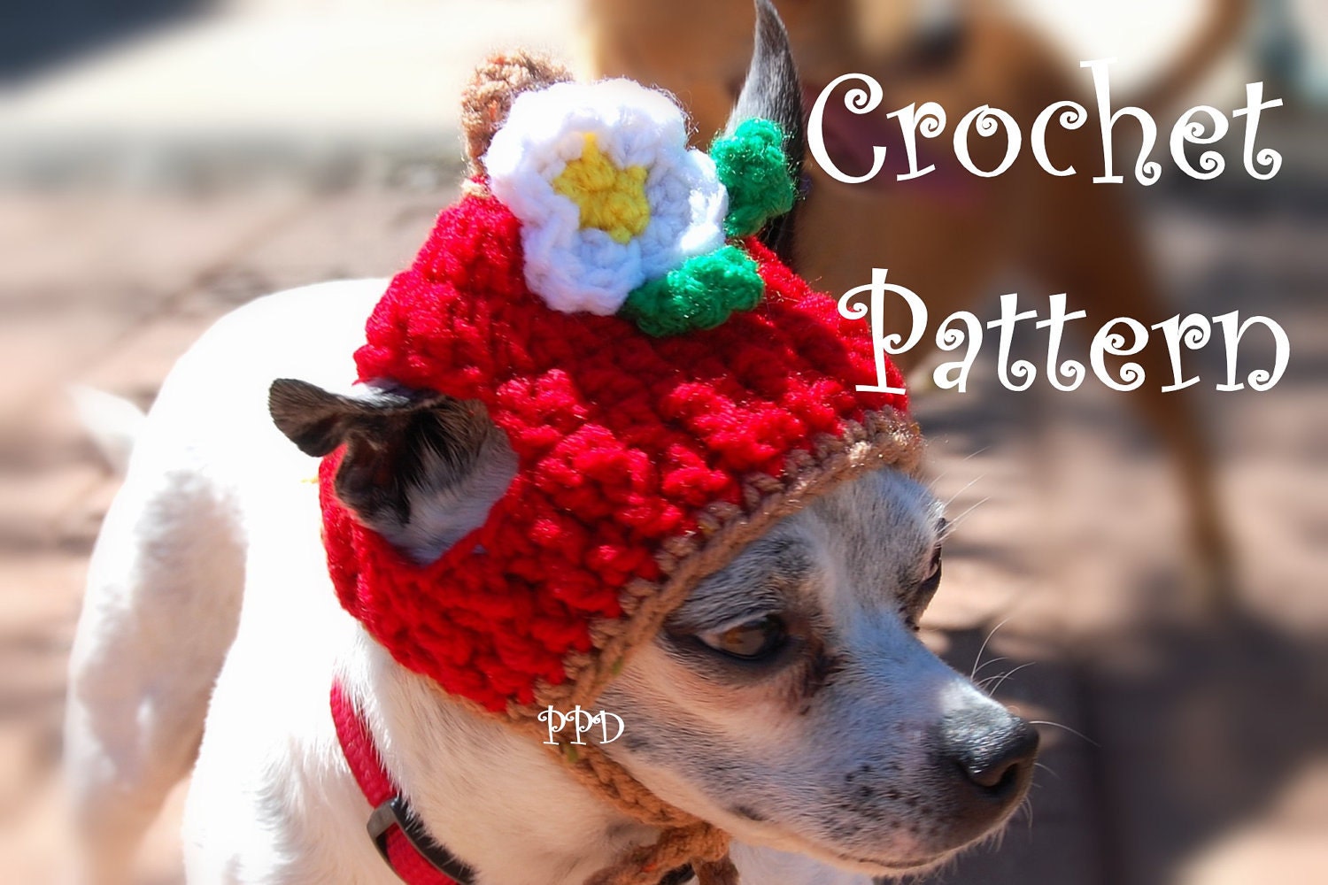 Instant Download Crochet Pattern - Apple Dog Hat - Small Dog Beanie 2-10 lbs