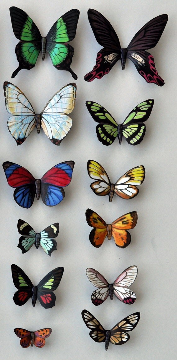 Butterfly Moth Set of 12 insects by DougWalpusArtStudio