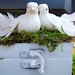 White Dove Wedding Ring Box