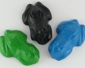 Color with Frog shaped crayons in lime, light blue and black- Ribbit, ribbit