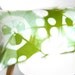 Tie Dye Shibori Pillow Cover 16x26 inches - Peapod