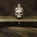 Vampire Jewelry - Vampire Ring