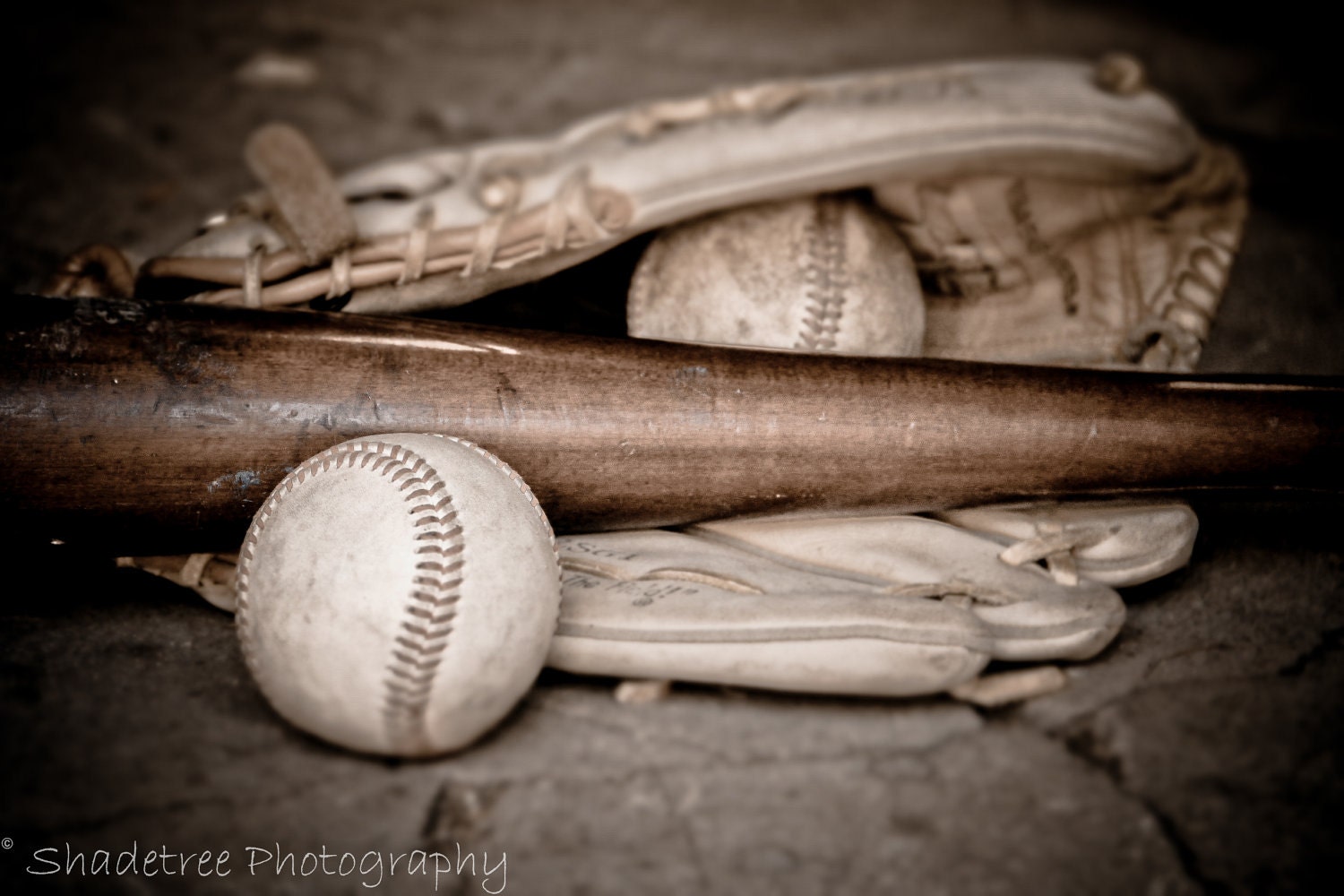 Baseball, Baseball Glove, Baseball Bat, Boys Room, Bar Decor,  Rustic, Vintage Feel, Brown, White, For Him, 12 x 18 Fine Art Photography - ShadetreePhotography
