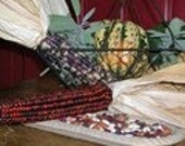 Survival Seed Pack - Three Sisters -  Corn Beans Squash - Heirloom - Organic