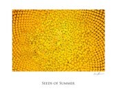 Photograph - Seeds of Summer - 11x14