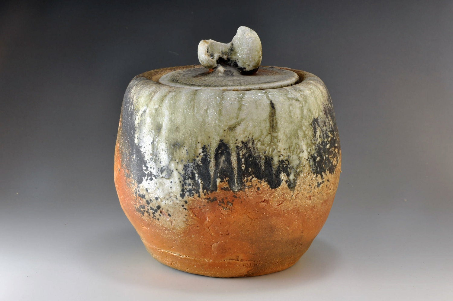 Shigaraki, anagama, ten-day anagama wood firing, with natural ash deposits water jar. mizu-63