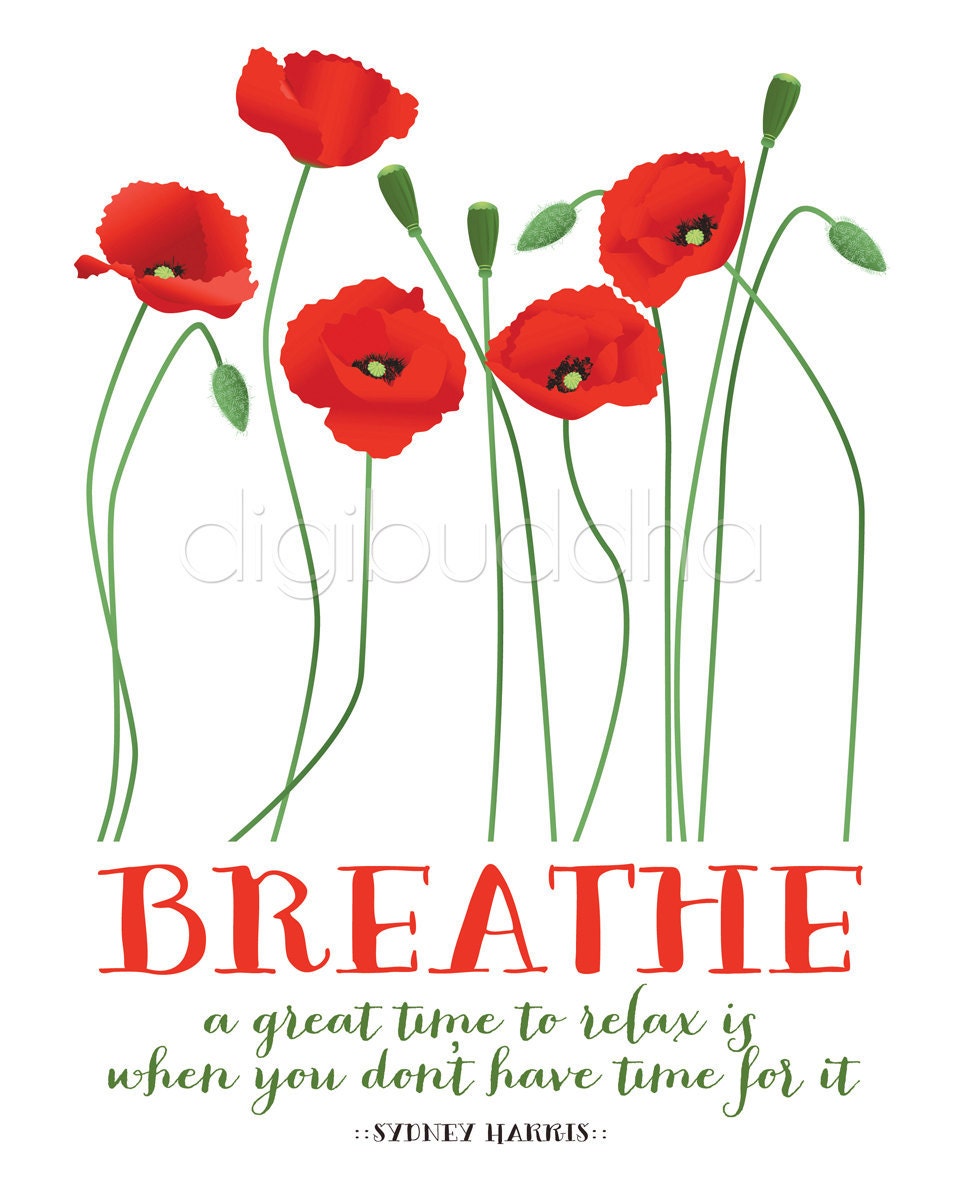 Breathe Quote Inspirational Art Print  A Great Time to Relax Red Poppies Poster 8x10 Motivational Quote Poster Wall Decor Premium Print