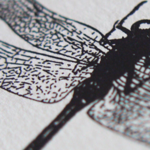 Cute little dragonfly silkscreened