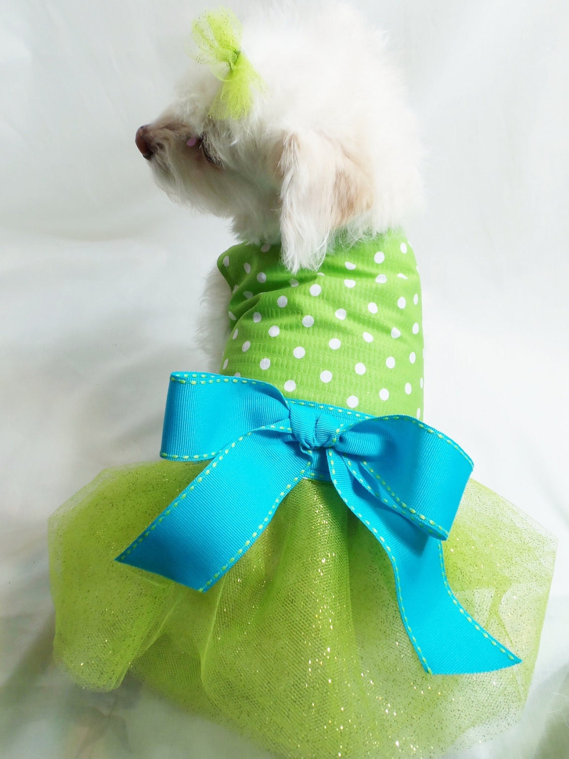 RockinDogs Lime Green Polkadot Dog Tutu Dress